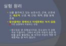 계란 노른자로 부터 막지방질,  pc 추출 14페이지