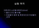 E.coli배양 3페이지