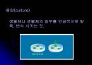 E.coli배양 5페이지