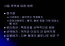 E.coli배양 9페이지