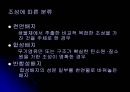 E.coli배양 10페이지
