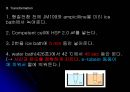 E.coli배양 21페이지
