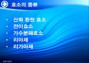 양배추로부터 PLD추출 10페이지