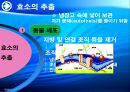 양배추로부터 PLD추출 21페이지