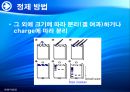 양배추로부터 PLD추출 28페이지