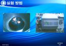 양배추로부터 PLD추출 42페이지