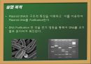 Plasmid Purification & DNA 전기영동 3페이지