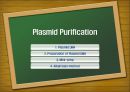 Plasmid Purification & DNA 전기영동 4페이지