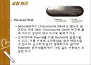Plasmid Purification & DNA 전기영동 5페이지