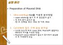 Plasmid Purification & DNA 전기영동 6페이지