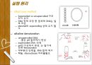Plasmid Purification & DNA 전기영동 8페이지