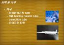 Plasmid Purification & DNA 전기영동 12페이지