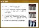 Plasmid Purification & DNA 전기영동 14페이지