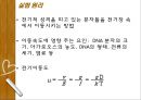 Plasmid Purification & DNA 전기영동 17페이지