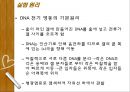 Plasmid Purification & DNA 전기영동 18페이지