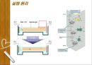 Plasmid Purification & DNA 전기영동 19페이지