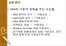 Plasmid Purification & DNA 전기영동 21페이지