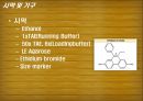 Plasmid Purification & DNA 전기영동 25페이지