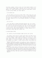 전자발찌에 대하여 16페이지