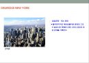 광기의 뉴욕(DELIRIOUS NEW YORK) 발표 요약정리(레포트) 3페이지