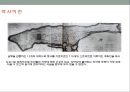 광기의 뉴욕(DELIRIOUS NEW YORK) 발표 요약정리(레포트) 5페이지