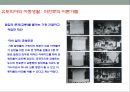 광기의 뉴욕(DELIRIOUS NEW YORK) 발표 요약정리(레포트) 12페이지
