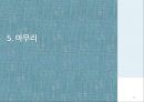 탄소배출권 거래제와 사례 분석 42페이지