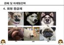 [커피전문점 창업 사업계획서 PPT] 카페창업 사업계획서,사업아이템 소개 25페이지