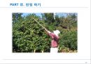 전정에 대한 모든 것 17페이지