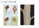 전정에 대한 모든 것 20페이지
