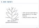 전정에 대한 모든 것 23페이지