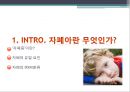 CARS(Childhood Autism Rating Scale), 아동기 자폐증 평정척도 3페이지