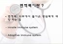 면역력 3페이지