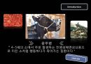 광우병 5페이지