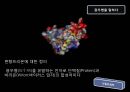 광우병 9페이지