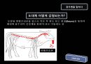 광우병 12페이지
