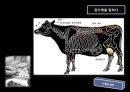 광우병 13페이지