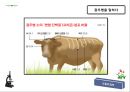 광우병 14페이지