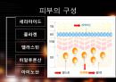 노화란 무엇인가? - 피부와 탈모 - 9페이지