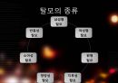 노화란 무엇인가? - 피부와 탈모 - 35페이지