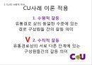 CU편의점 기업분석과 CU 이미지개선위한 경영,마케팅방안 제안 PPT 12페이지
