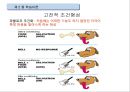 학습이론學習理論과 학습전략 9페이지