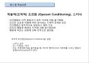 학습이론學習理論과 학습전략 10페이지