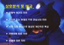 개별 소비자의 생활 배경에 따른 소비자와 상표간의 관계 17페이지