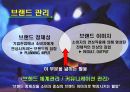 개별 소비자의 생활 배경에 따른 소비자와 상표간의 관계 20페이지