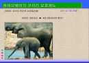 경제과제의  해결메커니즘 - 경제 체제 36페이지