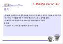 로마의 정책 변화 17페이지