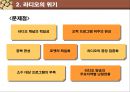 디지털 시대의 라디오  14페이지