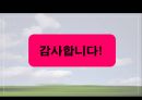 맹사성 강호사시가와 이현보 어부가 비교 25페이지