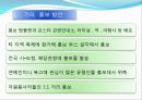 1050 복고축제 27페이지